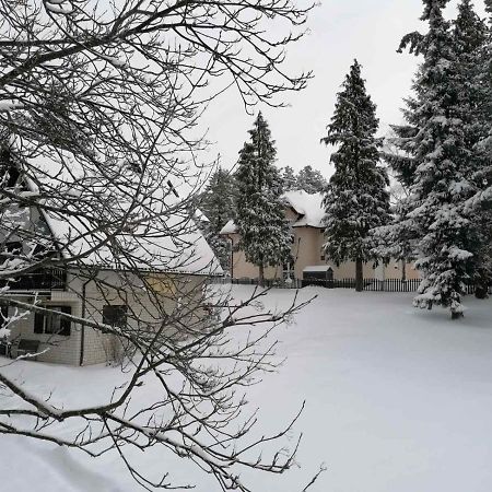 Kuca Za Odmor Zlatibor Villa Bagian luar foto