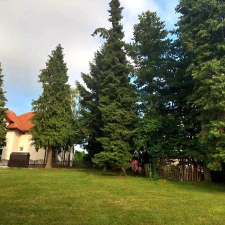 Kuca Za Odmor Zlatibor Villa Bagian luar foto