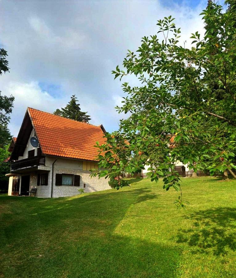 Kuca Za Odmor Zlatibor Villa Bagian luar foto