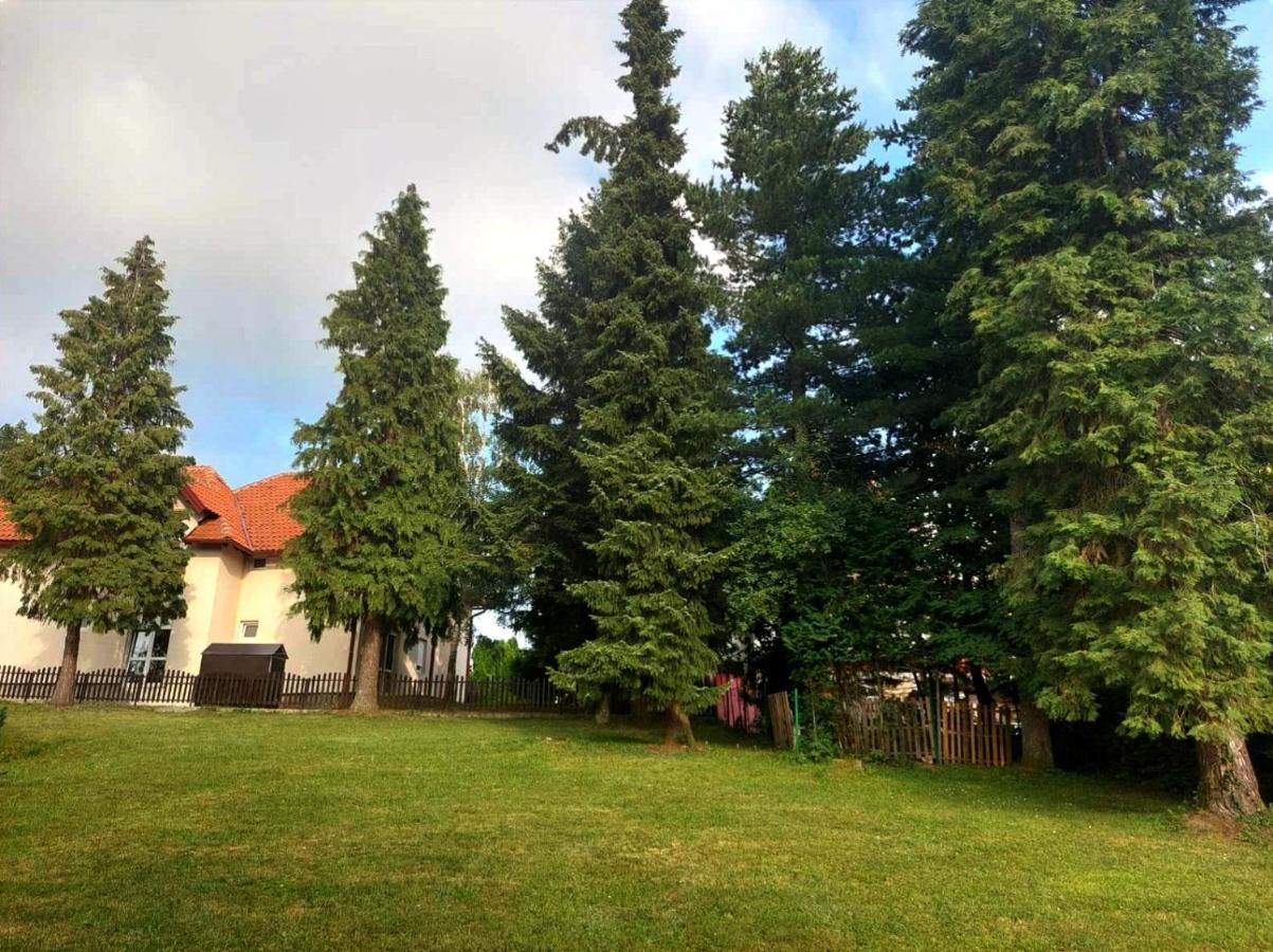 Kuca Za Odmor Zlatibor Villa Bagian luar foto